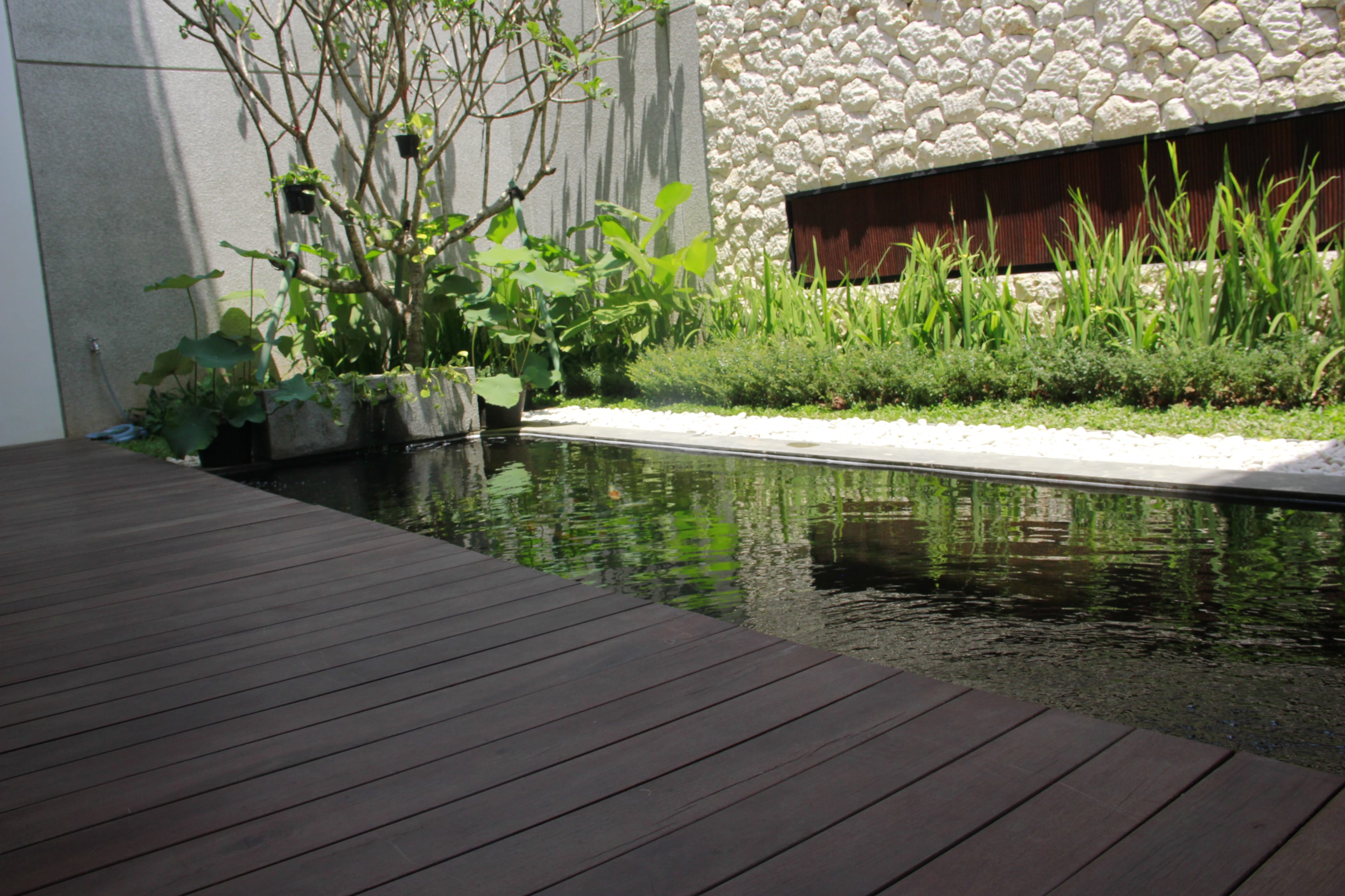 Ulin wood decking with pond